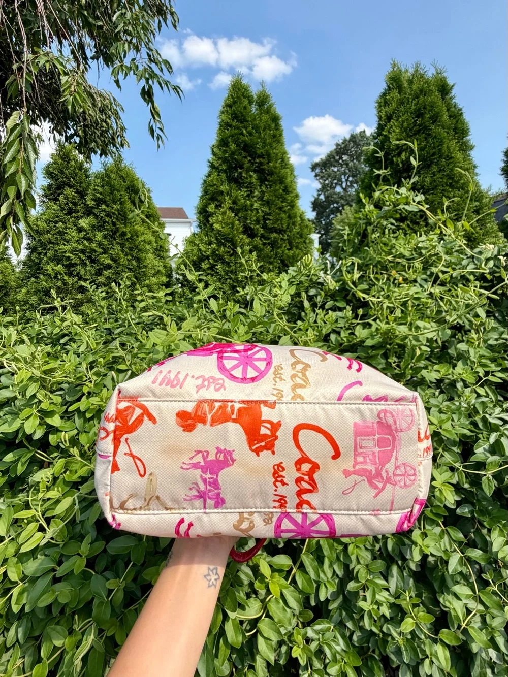 Coach colorful canvas